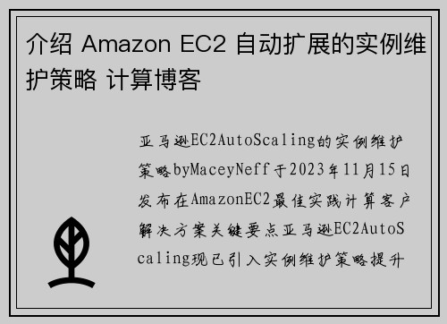 介绍 Amazon EC2 自动扩展的实例维护策略 计算博客